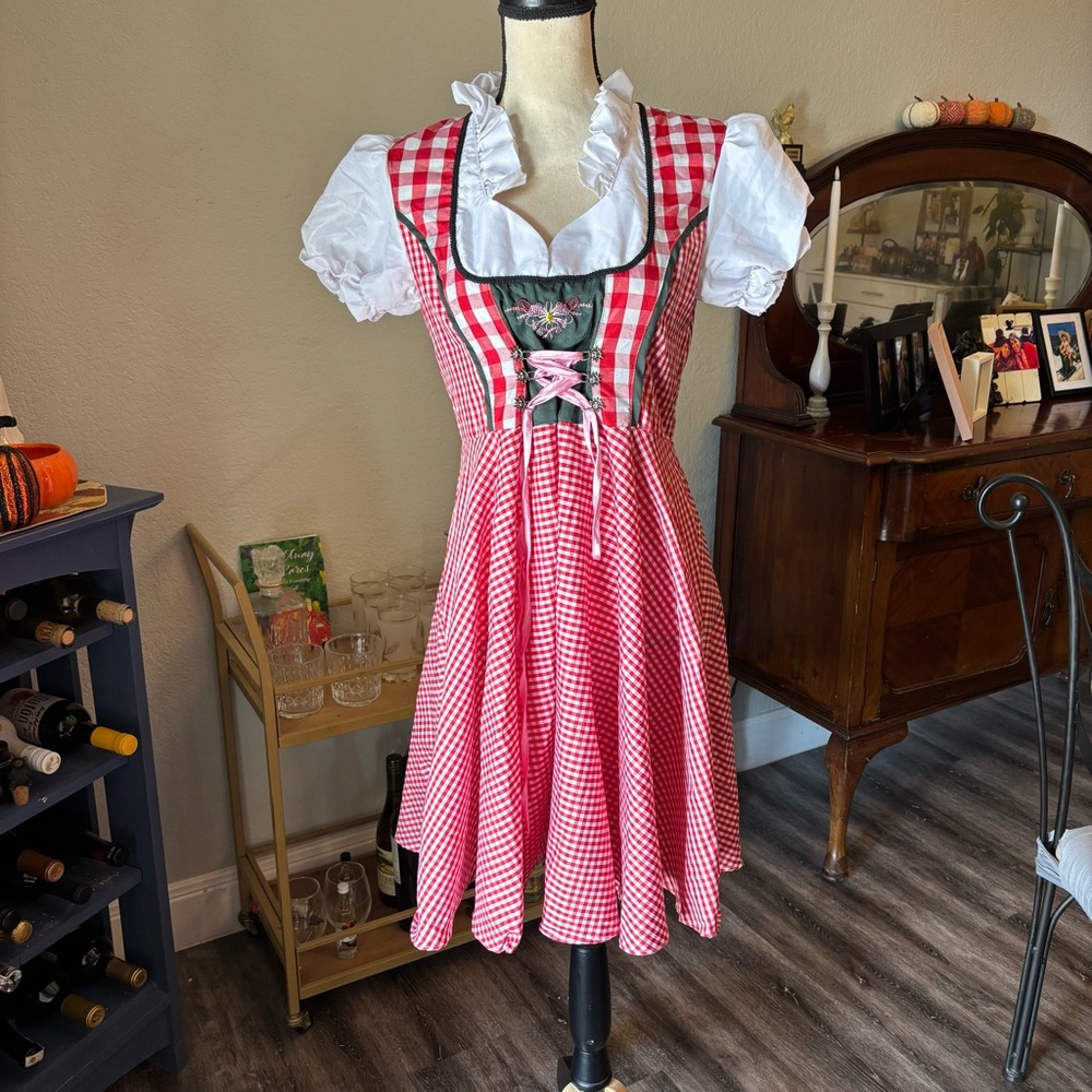 Leg Avenue Red and White Gingham Dirndl Mini Dress